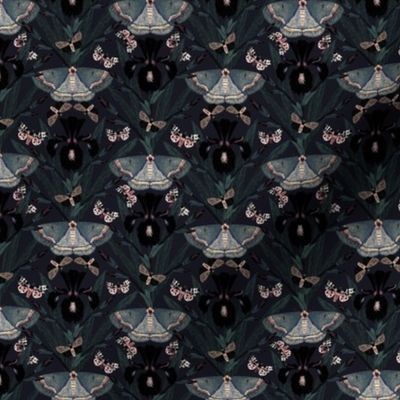  Dutch Iris flower & Moths | goth at night moody saturated maximalist wallpaper - magical garden | black floral, muted cool green, slate blue & dusty pink accents on dark muted slate navy | small