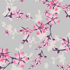 sakura blossom flowers and cherry branches on a gray background