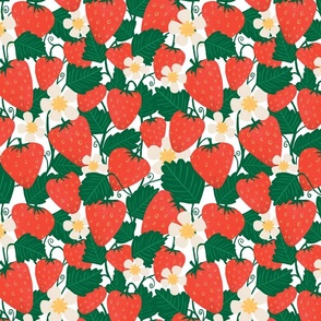 Strawberry plant - medium