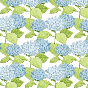 Hydrangea Rows