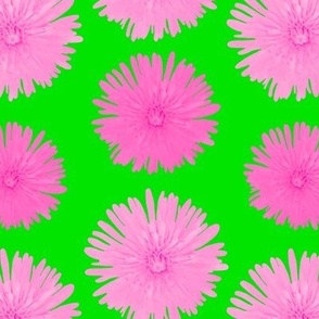 Pink Floral Photography - Pink Dandelions on Green Background - Floral Photography