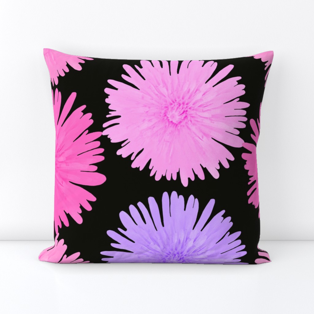 Pink and Purple Floral Photography - Pink and Purple Dandelions on Black background - JUMBO SIZE