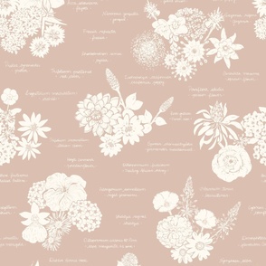 Vintage floral blooms encyclopedia in muted pink - large