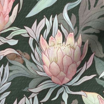Watercolor Protea on dark