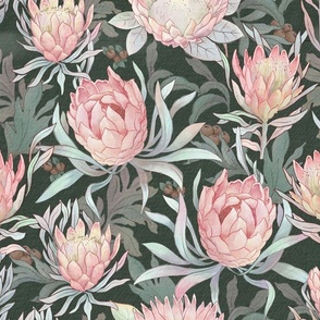 Watercolor Protea on dark