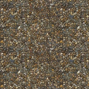 stones in concrete 12x9