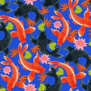 Koi Carp with Japanese maple leaves and waterlillies. (Royal Blue)