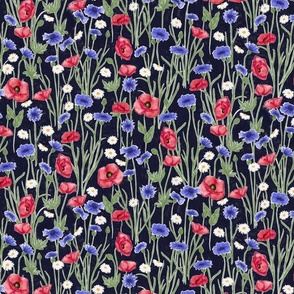 (M) Wildflower meadow poppies and cornflowers