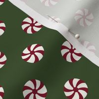 Peppermint candy on evergreen