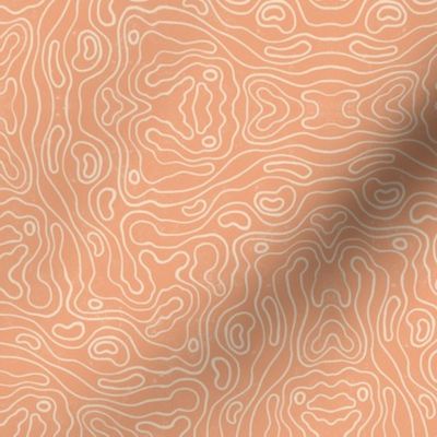 Small wavy watery textured block printed topographic lines in retro colors of coral on sandy cream