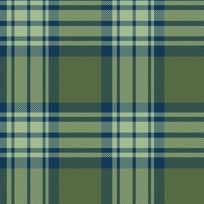 Blueberries Green Plaid pattern