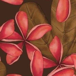 FRANGIPANI PLUMERIA TROPICAL HAWAIIAN FLOWERS : PINK :  BROWN : LARGE