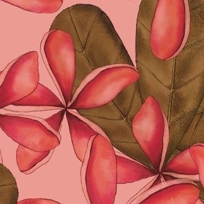 FRANGIPANI PLUMERIA TROPICAL HAWAIIAN FLOWERS : PINK : LARGE