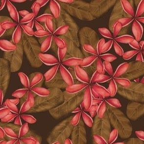 FRANGIPANI PLUMERIA TROPICAL HAWAIIAN FLOWERS : PINK: BROWN : DARK :  MEDIUM