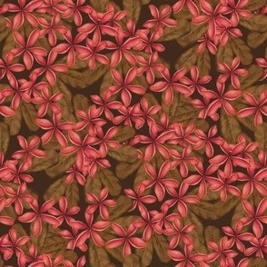 FRANGIPANI PLUMERIA TROPICAL HAWAIIAN FLOWERS : PINK: BROWN : DARK :  X SMALL