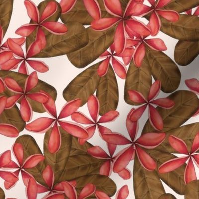 FRANGIPANI PLUMERIA TROPICAL HAWAIIAN FLOWERS : PINK: BROWN : WHITE : MEDIUM