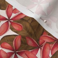 FRANGIPANI PLUMERIA TROPICAL HAWAIIAN FLOWERS : PINK: BROWN : WHITE : MEDIUM