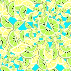 Citrus  fruit lemon and lime slices 