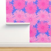Pink Floral Photography - Pink Dandelions on Blue Background - JUMBO SIZE - Summer Flower Garden