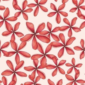PLUMERIA TROPICAL HAWAIIAN FLOWERS : PINK : WHITE : MEDIUM