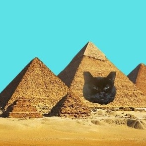 Black Cat in Pyramid Funny Novelty Print