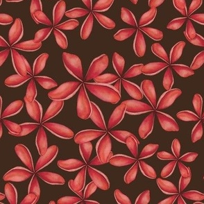 PLUMERIA TROPICAL HAWAIIAN FLOWERS : PINK : BROWN : MEDIUM