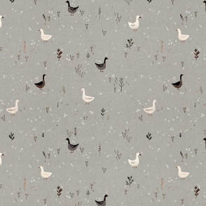 Duck town - Ducks in the meadow grey M