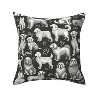 Monochrome Dogs On Gray