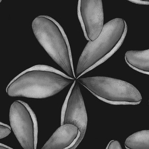 PLUMERIA TROPICAL HAWAIIAN FLOWERS : BLACK AND WHITE : LARGE