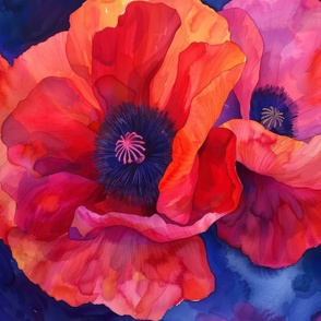 Red and Orange Poppies on Deep Blue/Purple Background