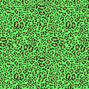 leopard animal print colors chartreuse green