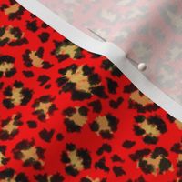 Leopard red 