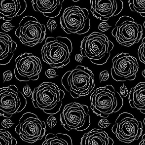 white roses on black - medium