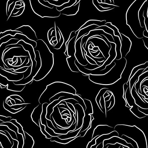 white roses on black - xl