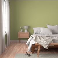 Basic Wheat Grass Green Color Solid Fabric - Hex code #c5c587 Coordinate Dark Khaki Color Fabric
