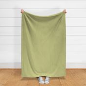 Basic Wheat Grass Green Color Solid Fabric - Hex code #c5c587 Coordinate Dark Khaki Color Fabric