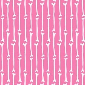 Pretty Long Bones on Pink