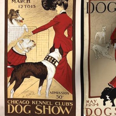 Vintage Dog Show Posters