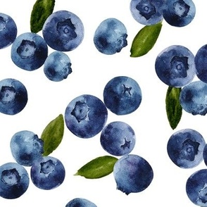 Large / Watercolor Blueberries