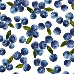 Watercolor Blueberries - Summer Fruit