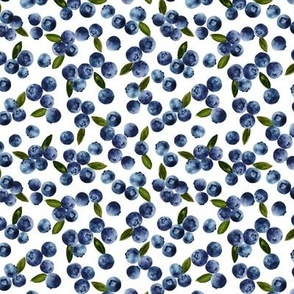Small / Watercolor Blueberries