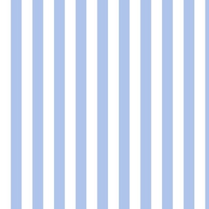 clear blue stripe-crystal-w-design