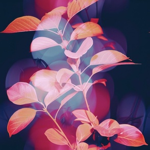 abstract botanical alternative photography process illustration with red and magenta and blue_157