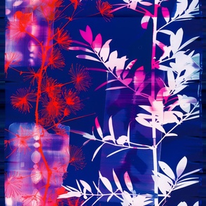 abstract botanical alternative photography process illustration with red and magenta and blue_176
