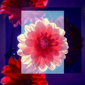 abstract botanical alternative photography process illustration with red and magenta and blue_146