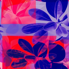 abstract botanical alternative photography process illustration with red and magenta and blue_170