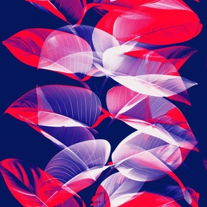 abstract botanical alternative photography process illustration with red and magenta and blue_171