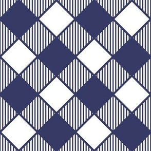 Diagonal Checks with Stripes in Navy Blue on White - Small