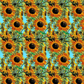 SunFlowers and Bees