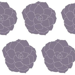 Succulents Soft Violet on White